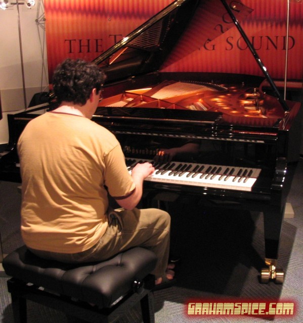 huge bosendorfer
picture by Chris Grainger