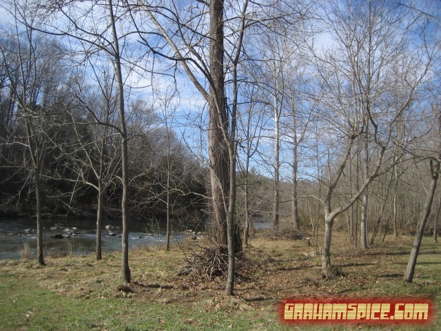 looking up the river from the driveway