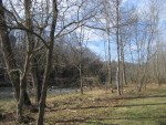 looking and walking up the river bank