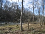 further up the river bank