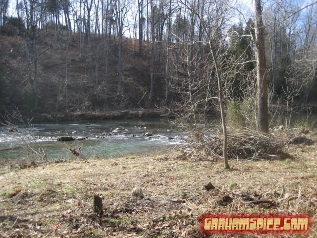 various shrubs and trees removed from river bank