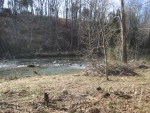 various shrubs and trees removed from river bank