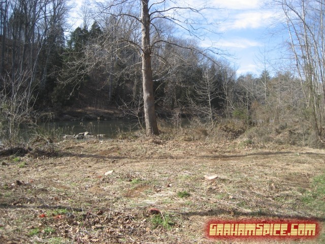 looking at river from bank