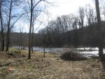 looking down the river from stream's edge
