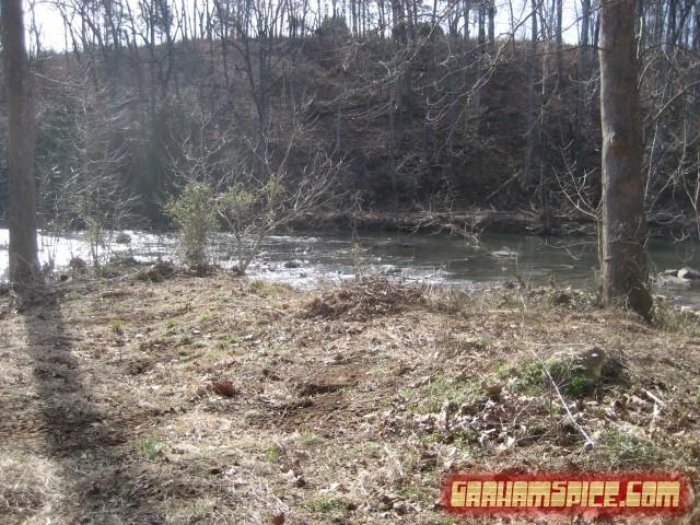 looking at the river