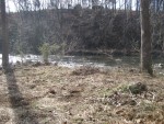 looking at the river