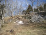 2 burn areas used