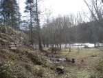 looking back towards the shed from the burn pits area