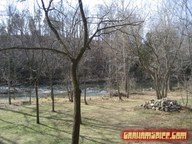 looking up river from the driveway
