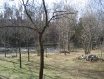 looking up river from the driveway