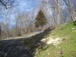 looking up the driveway