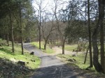 Highlight for Album: 012707 Backyard Changes - Rockbridge Baths, VA