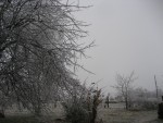 020108 Ice Storm - Fairfield, VA 020108 Ice Storm - Fairfield, VA
