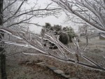 020108 Ice Storm - Fairfield, VA 020108 Ice Storm - Fairfield, VA