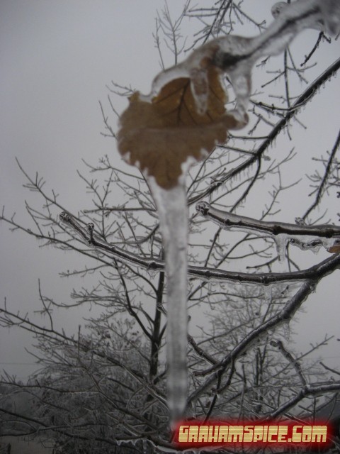 020108 Ice Storm - Fairfield, VA