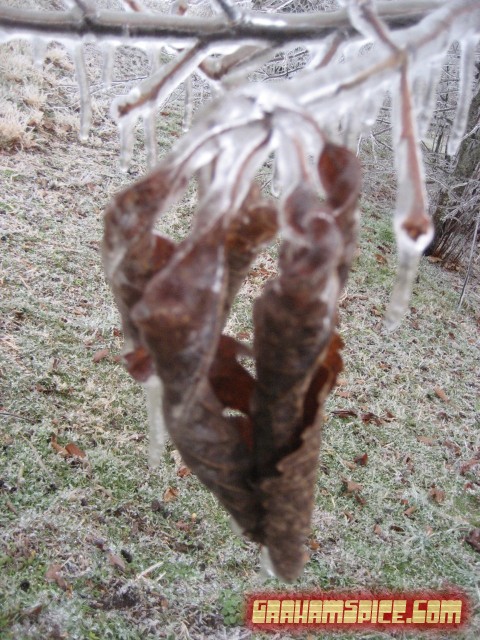 020108 Ice Storm - Fairfield, VA