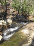 IMG_0350.JPG