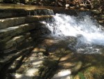 IMG_0358.JPG