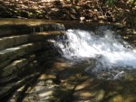 IMG_0359.JPG