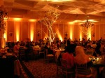 06-03-12 The Big Megillah 022