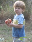 IMG_0815.JPG