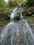 Highlight for Album: 101704 Great Smoky Mountains NP