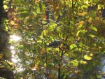 IMG_0953.JPG