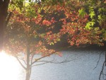 IMG_0956.JPG