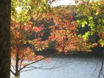 IMG_0958.JPG