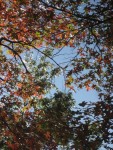 IMG_0961.JPG