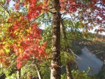 IMG_0967.JPG