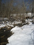 IMG_0127.JPG