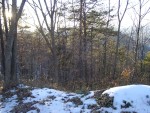 12160009.JPG
This looks to be from the climb up North Mountain