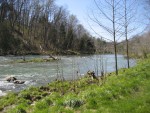 Looking Up River