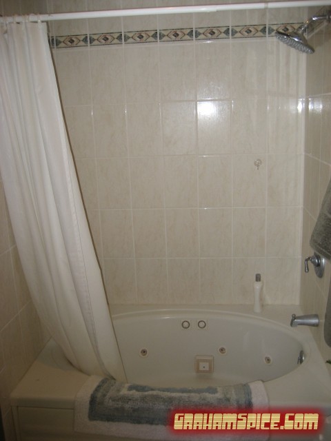 Master Bathroom - Whilrpool Tub