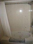 Master Bathroom - Whilrpool Tub